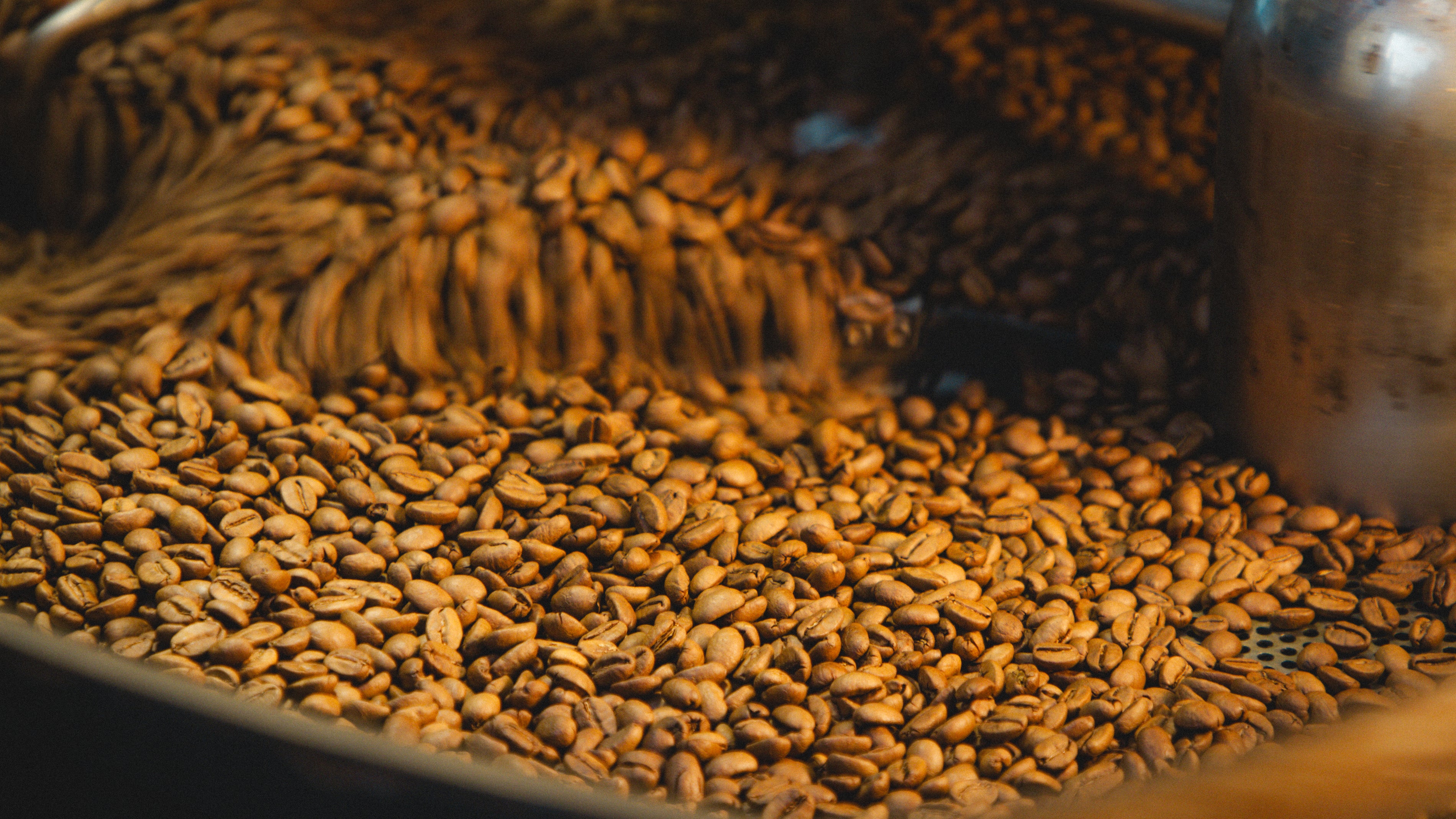 Single Origin