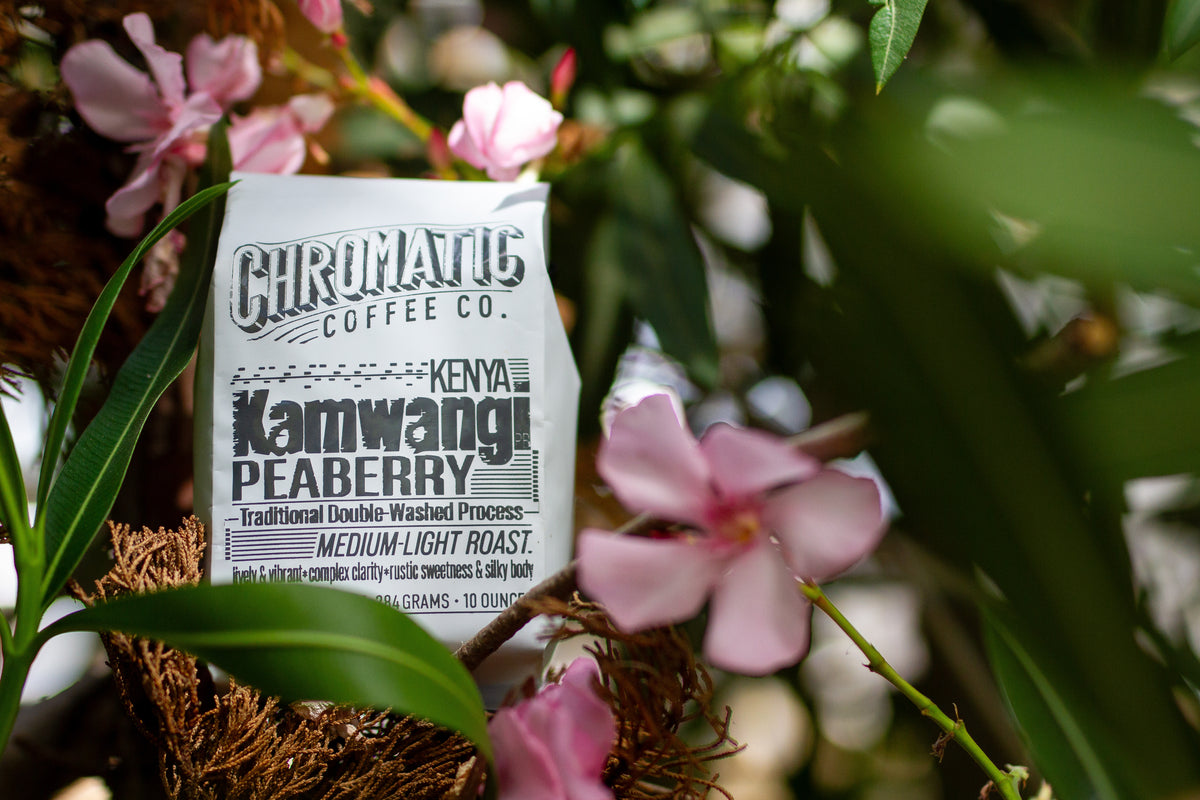 Photo of Kamwangi Peaberry