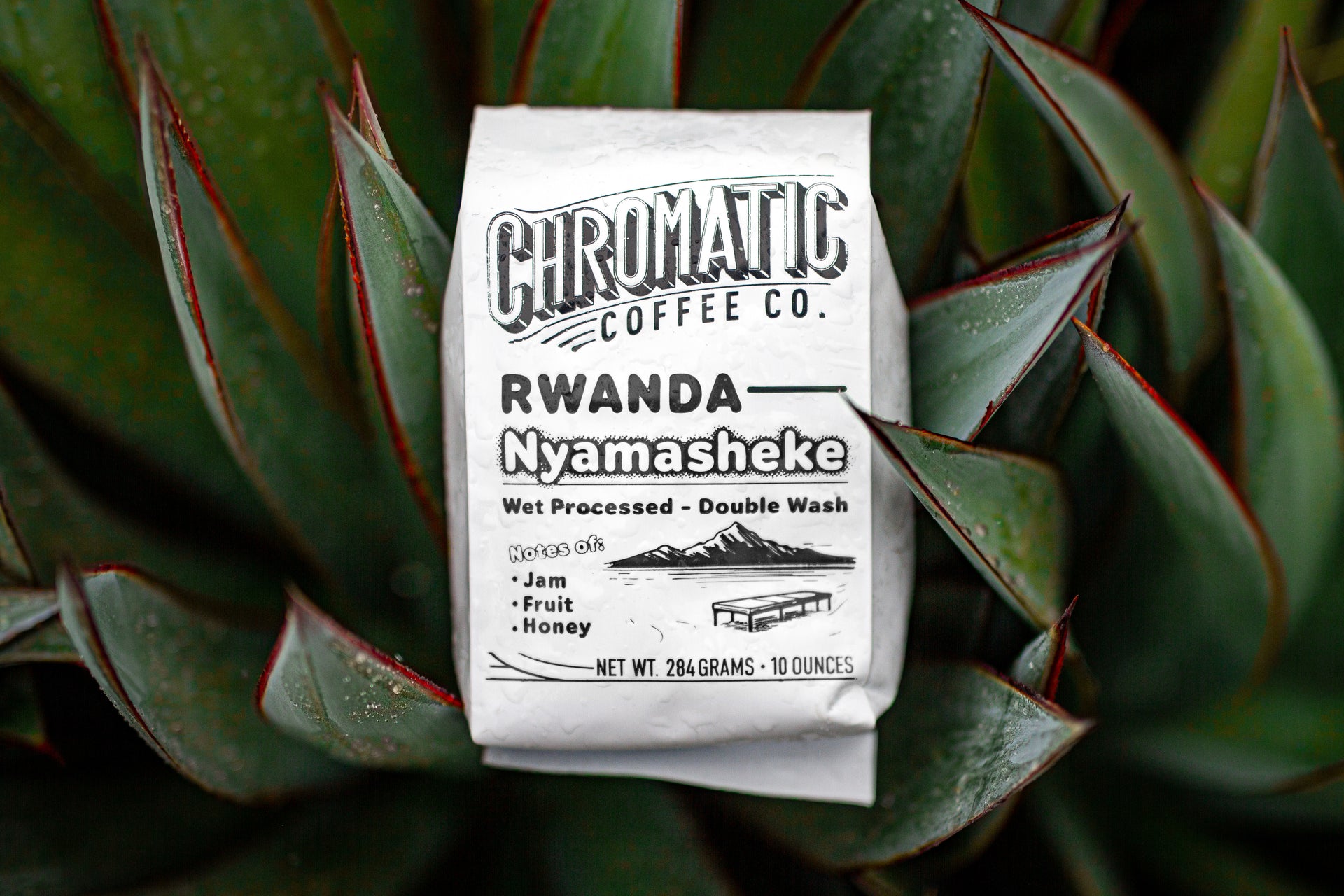 Photo of Nyamasheke Wet